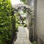Nature rozenboog begroeid met klimplanten